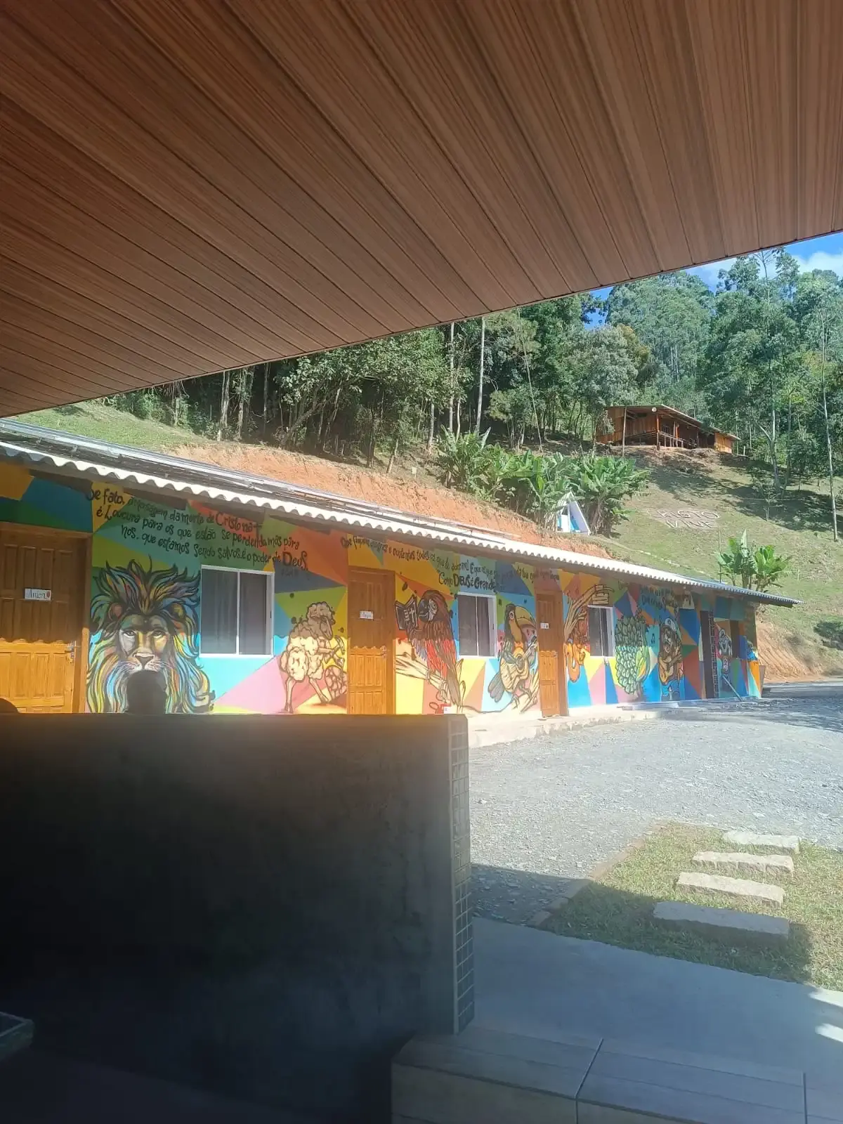 Imagem da galeria 2
